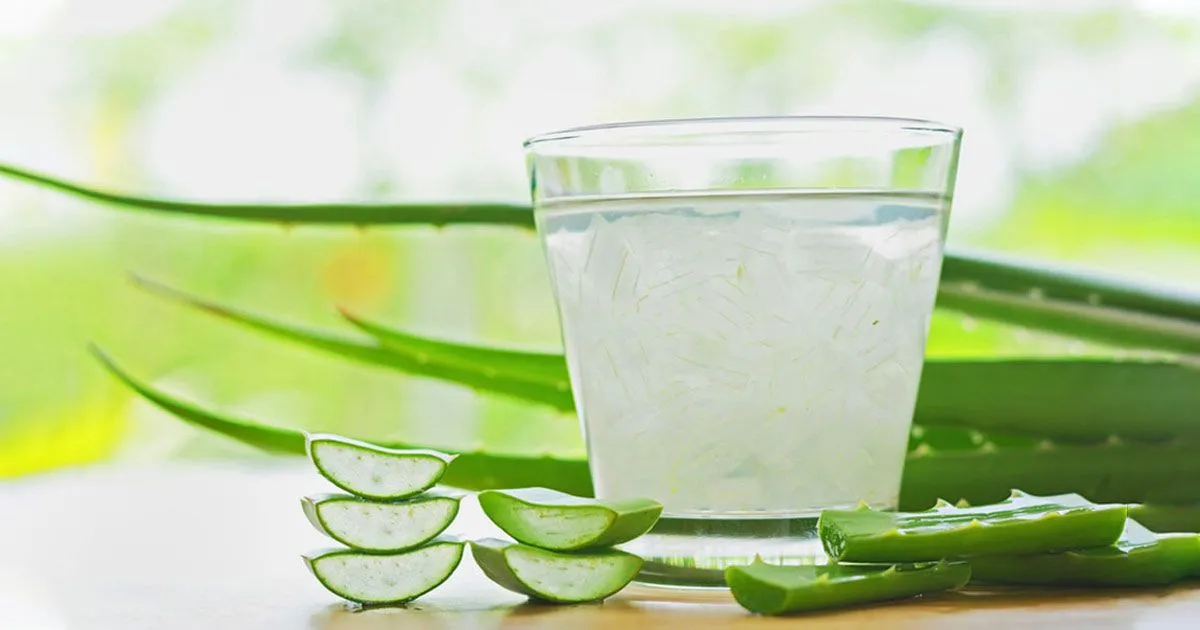 14 Health Benefits Of Drinking Aloe Vera Juice