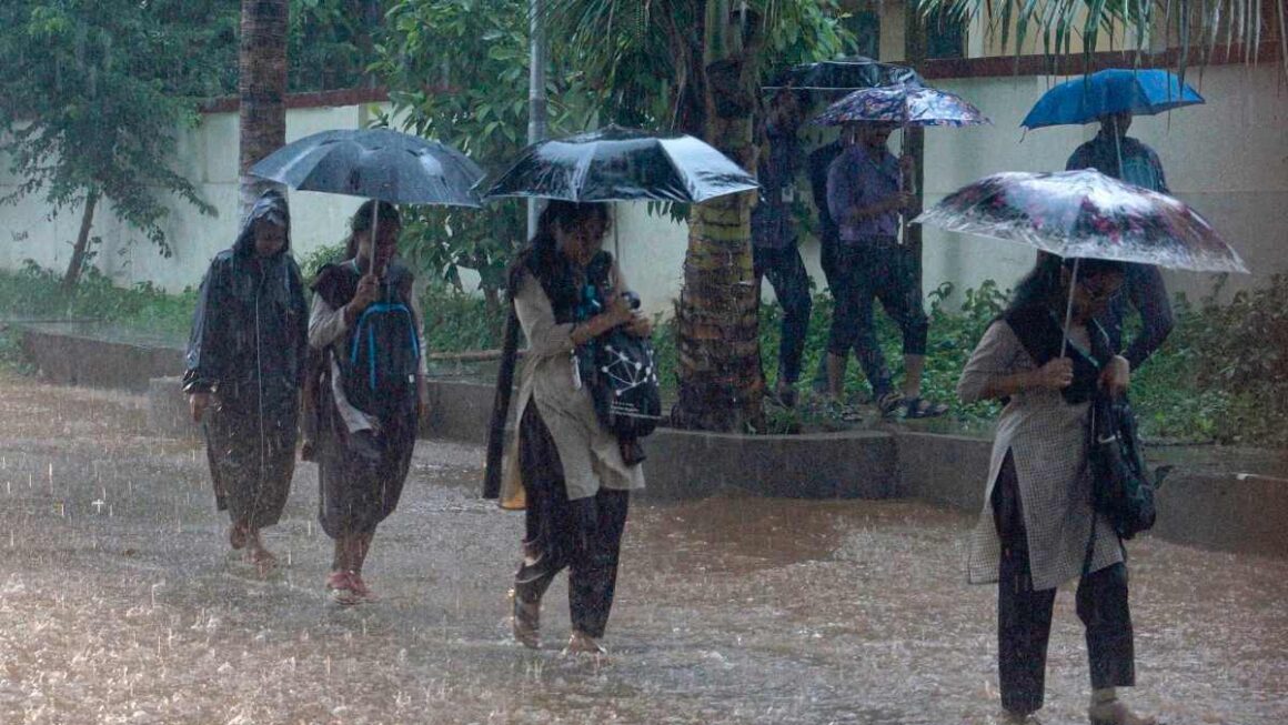 Monsoon Care: मॉनसून में इम्युनिटी बढ़ाने के साथ-साथ बीमारियों से रहना है दूर, तो दिन की शुरुआत इस फल के साथ करें